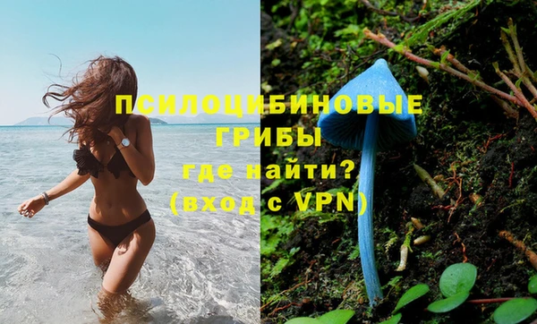 mdpv Сафоново
